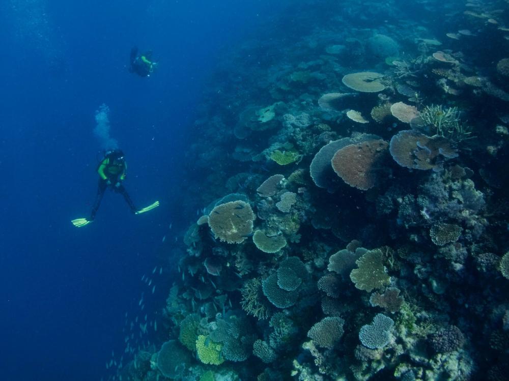 scuba-dive-great-barrier-reef.jpg